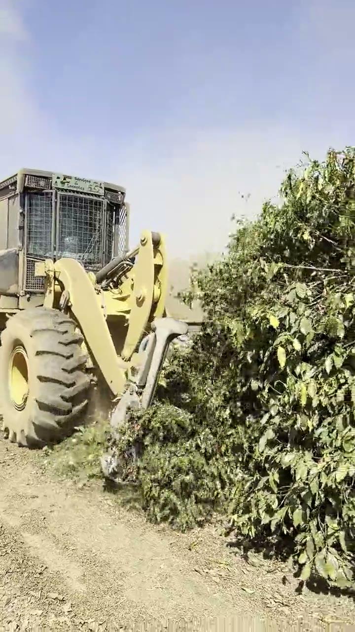 Máquina florestal na lavoura — vídeo