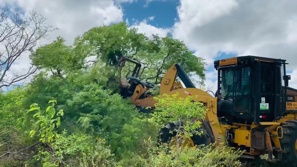 Trituração de arbustos e moitas com máquina florestal